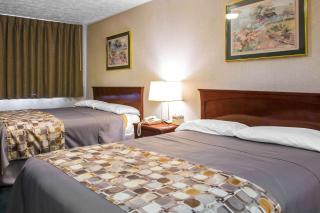 Rodeway Inn & Suites Branford - Guilford - Branford - 4