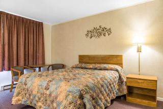 Rodeway Inn Waterford - New London - Waterford - 1