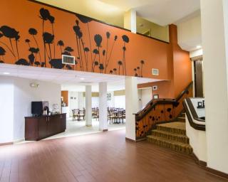 Sleep Inn Ormond Beach - Daytona - Ormond Beach - 4