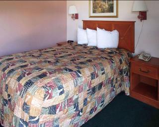 Rodeway Inn Leesburg Chain of Lakes - Leesburg - 1