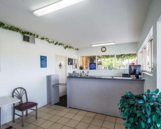 Rodeway Inn Fort Pierce I-95 - Fort Pierce - 7