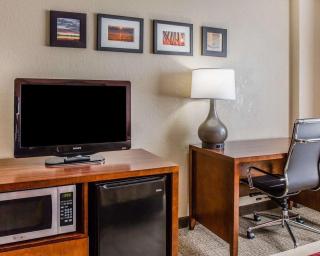 Comfort Inn & Suites Lakeland North I-4 - Lakeland - 2