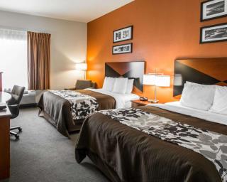 Sleep Inn & Suites Palatka North - Palatka - 3