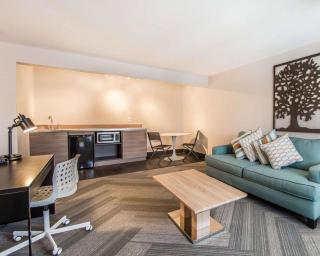Quality Inn & Suites By the Parks - 3