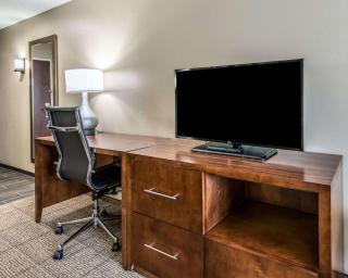 Comfort Suites Dunnellon near Rainbow Springs - Dunnellon - 2