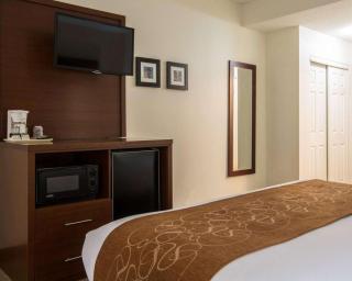 Comfort Suites Cumming-Atlanta near Northside Hospital Forsyth - Cumming - 1