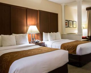 Comfort Suites Cumming-Atlanta near Northside Hospital Forsyth - Cumming - 6