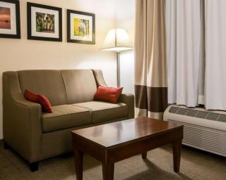 Comfort Suites Cumming-Atlanta near Northside Hospital Forsyth - Cumming - 8