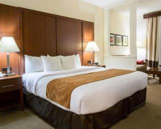 Comfort Suites Cumming-Atlanta near Northside Hospital Forsyth - Cumming - 9