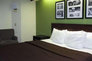 Rodeway Inn - Albany - 2