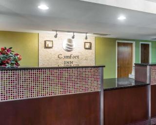 Comfort Inn Conyers - Conyers - 4