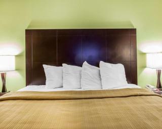 Quality Inn & Suites Dublin - 9