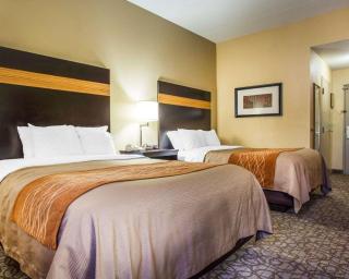 Comfort Inn & Suites at Stone Mountain - Stone Mountain - 5