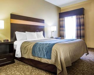 Comfort Inn & Suites at Stone Mountain - Stone Mountain - 9