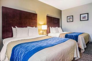 Comfort Inn Atlanta Downtown South - Atlanta - 3
