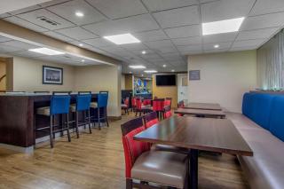 Comfort Inn Sandy Springs - Perimeter - Atlanta - 3