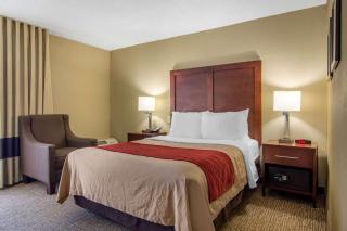 Comfort Inn Sandy Springs - Perimeter - Atlanta - 5