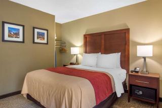Comfort Inn Sandy Springs - Perimeter - Atlanta - 2