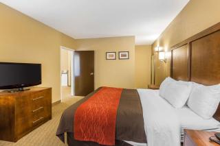 Comfort Inn & Suites - Dalton - 4