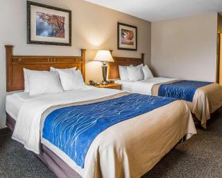 Comfort Inn & Suites Blue Ridge - 9