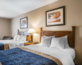 Comfort Inn & Suites Blue Ridge - 8