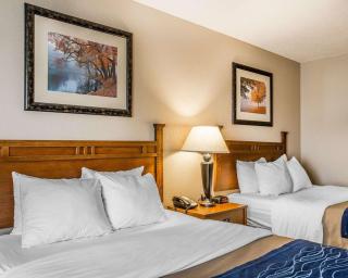 Comfort Inn & Suites Blue Ridge - 5