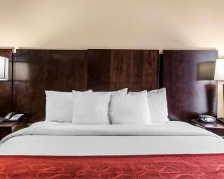 Comfort Suites Waycross - 8