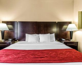 Comfort Suites Waycross - 3
