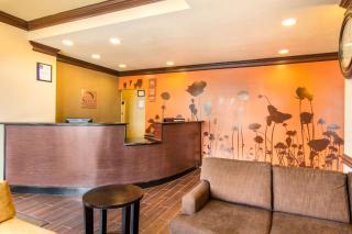 Sleep Inn & Suites Athens South - Athens - 5