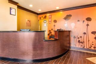 Sleep Inn & Suites Athens South - Athens - 4