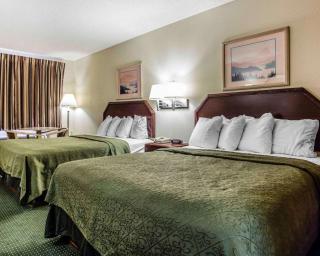 Quality Inn & Suites Stockbridge Atlanta South I-75 - Stockbridge - 4
