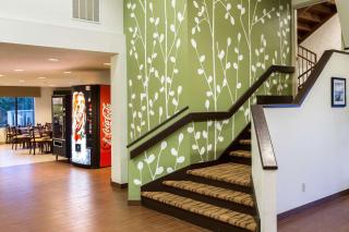 Sleep Inn Douglasville - Douglasville - 7