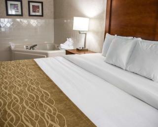 Comfort Inn & Suites Riverview near Davenport and I-80 - Le Claire - 1