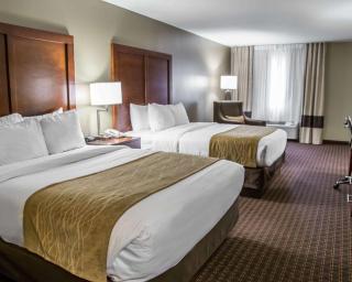 Comfort Inn & Suites Riverview near Davenport and I-80 - Le Claire - 3