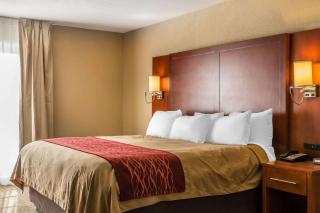 Comfort Inn Savannah Midtown - 2