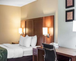 Comfort Suites Airport - 6