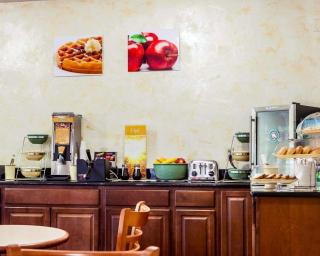 Quality Inn & Suites - Champaign - 7