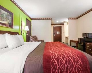 Quality Inn Arcola - Arcola - 5