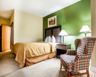 Quality Inn & Suites - Champaign - 4