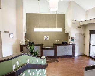 Sleep Inn Midway Airport - Chicago - 5