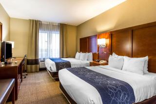 Comfort Suites - Mattoon - 1