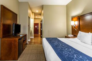 Comfort Suites - Mattoon - 4