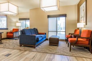 Comfort Suites - Fairview Heights - 5