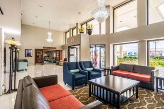 Comfort Inn Convention Center-Chicago O'hare Airport - Des Plaines - 5
