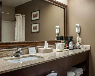 Quality Inn & Suites near St Louis and I-255 - Cahokia - 6