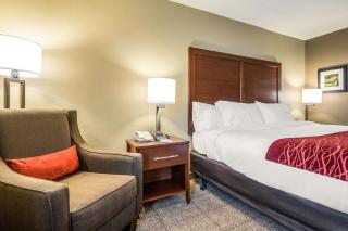 Comfort Inn Ottawa Starved Rock Area - Ottawa - 8