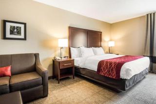 Comfort Inn Ottawa Starved Rock Area - Ottawa - 5