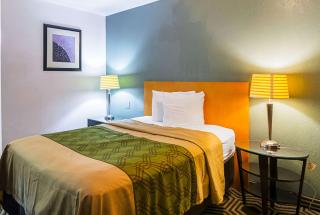 Econo Lodge South Holland - Chicago Southland - 5