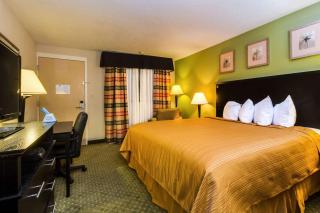 Quality Inn & Suites Moline - Quad Cities - Moline - 5