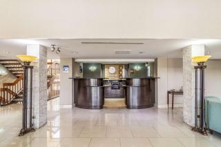 Comfort Inn Convention Center-Chicago O'hare Airport - Des Plaines - 4